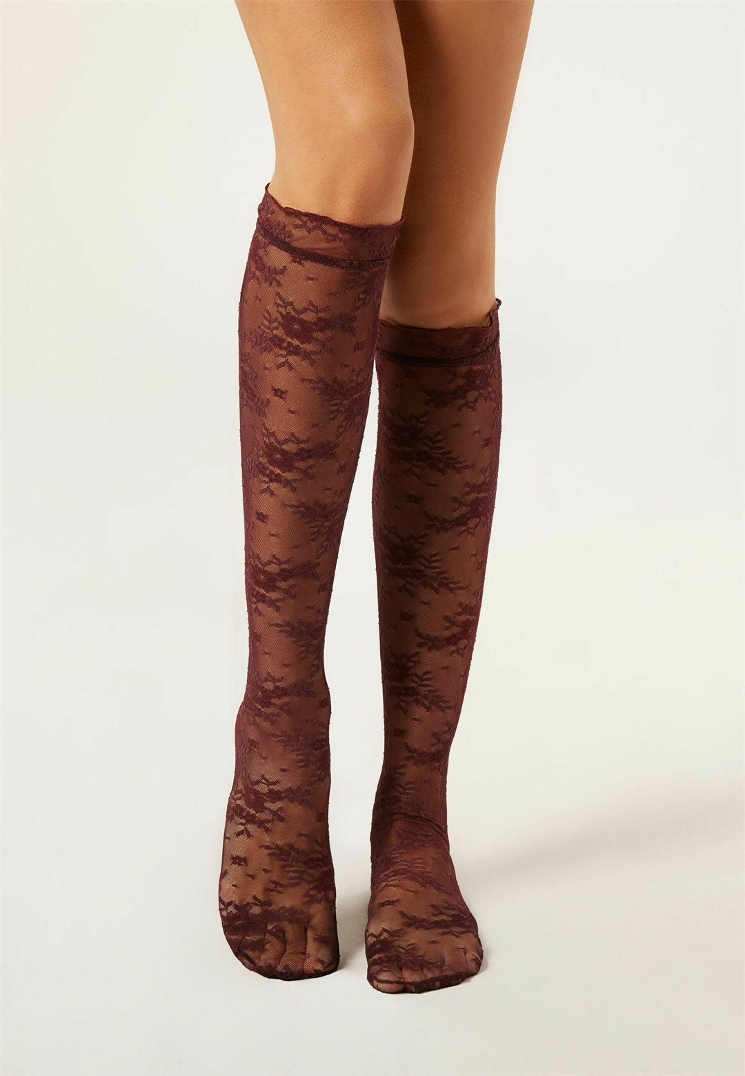 Calzedonia Kniestrümpfe - burgundy/bordeaux