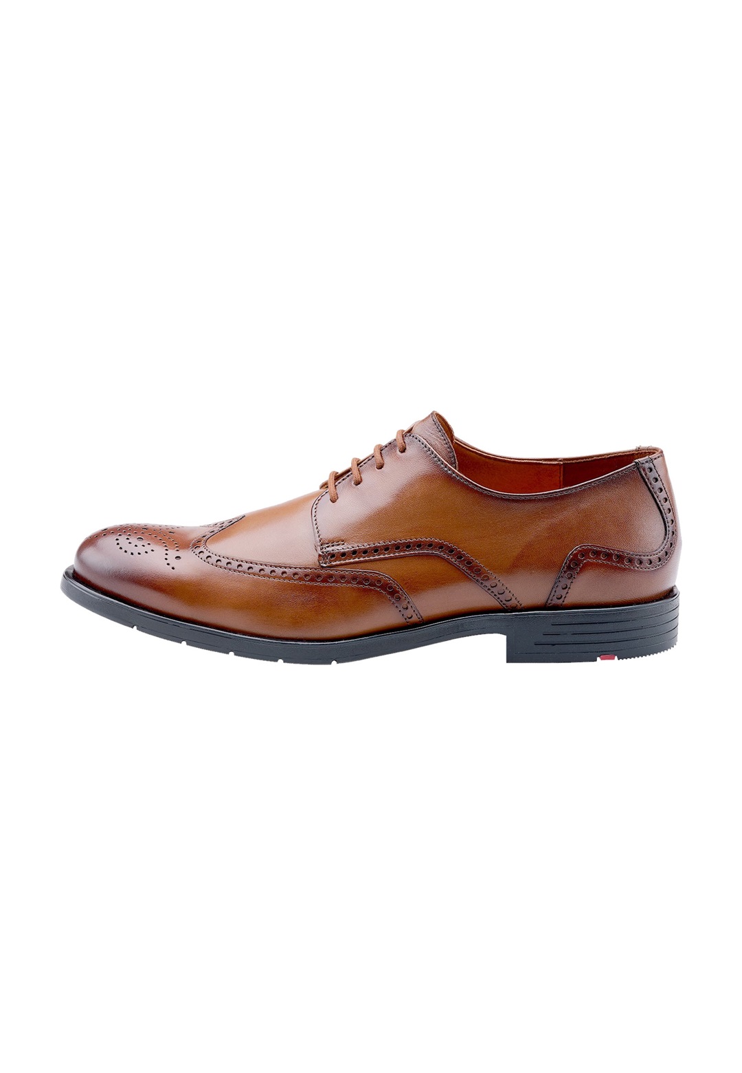 Lloyd Business-Schnürer - cognac