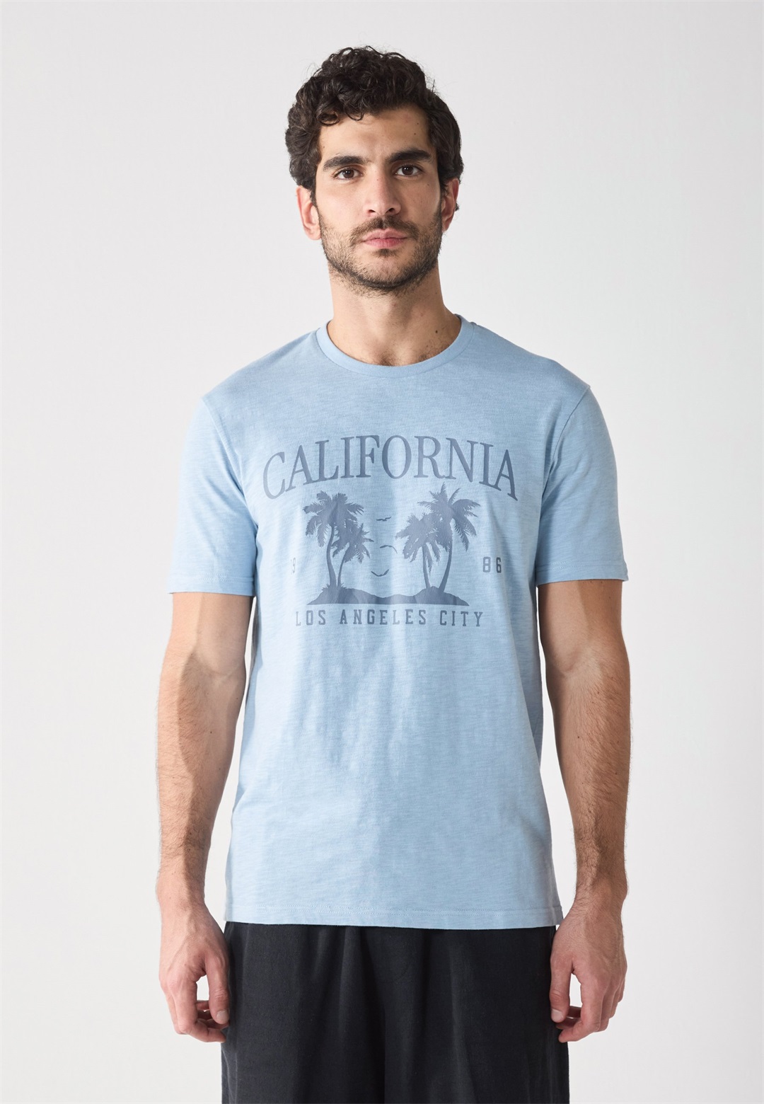 Pier One CALI PALM PRINT SLUB TEE - T-Shirt print - blue fog/hellblau